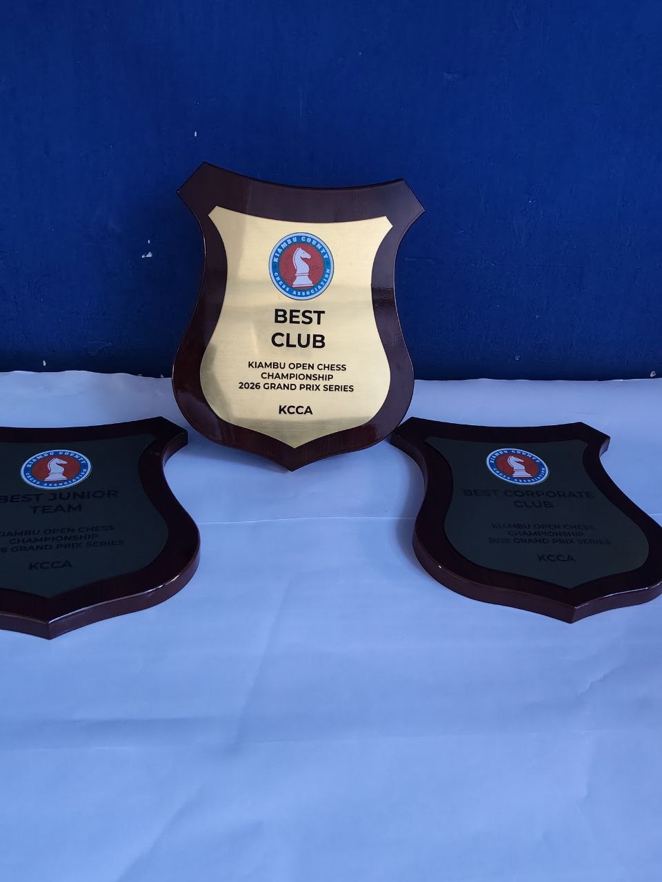 Awards Branding - Image 2